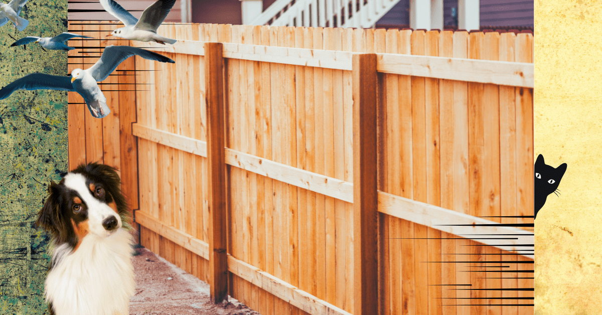 Fixing Fences: The Hassles, the Hope, and How Klussman Home Remodeling Can&nbsp;Help